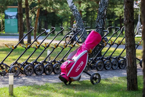 Mińsk. Białoruś - 24.07.2021 - Wózki golfowe push-pull. Zielona trawa, drzewa. Obrazek Stockowy