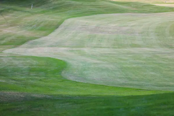 Hierba verde en un campo de golf sobre un fondo forestal — Foto de Stock