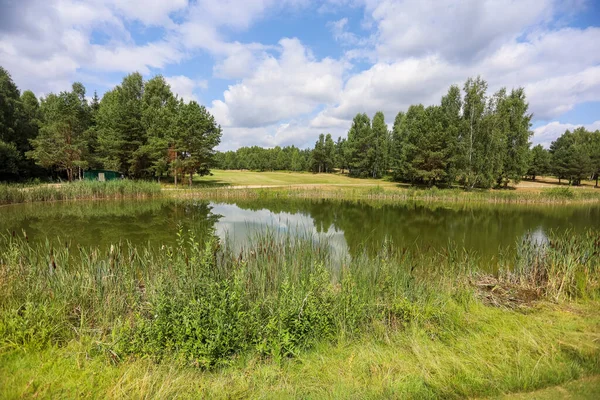 Jezioro otoczone zielenią na terenie klubu golfowego — Zdjęcie stockowe