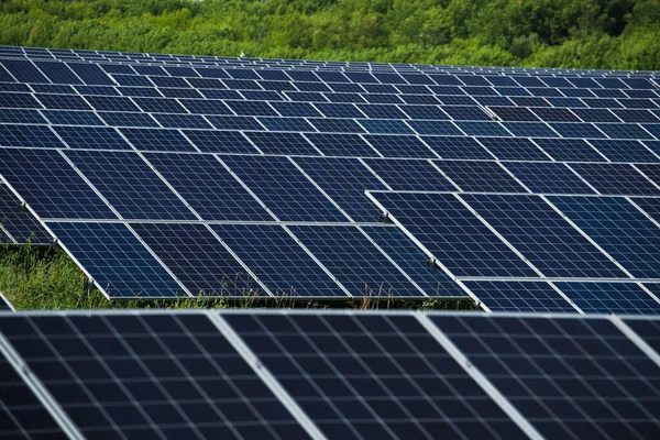 Linhas de painéis solares em um campo — Fotografia de Stock