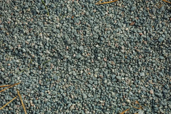 Background, small stones of gray color on the ground — Stock Photo, Image