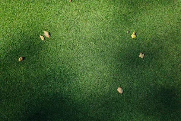 緑の芝生のゴルフコースの黄色の葉 — ストック写真