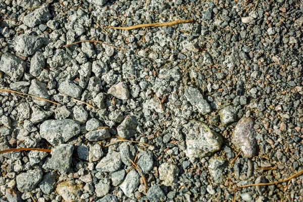 Hintergrund, kleine graue Steine auf dem Boden — Stockfoto