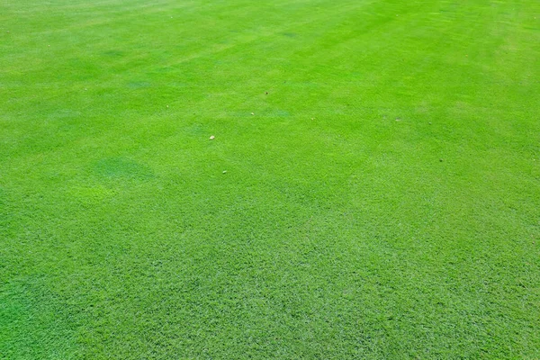 Grünes Gras am Abend auf dem Golfplatz — Stockfoto