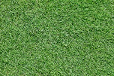 Akşam golf sahasında yeşil çimenler.