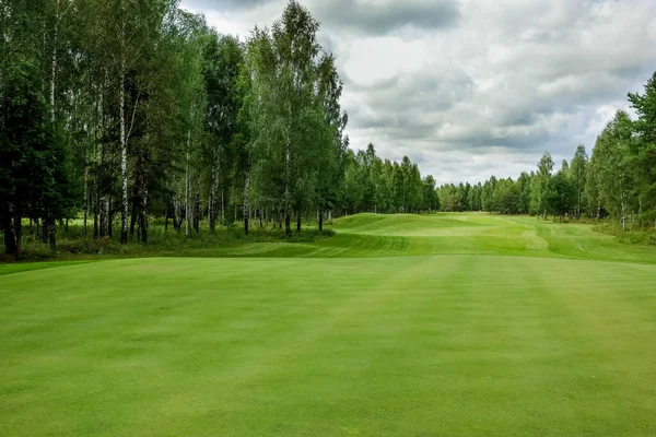 Pole golfowe, krajobraz, zielona trawa na tle lasu i jasne niebo z chmurami — Zdjęcie stockowe