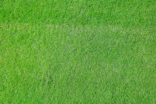 Hochwinkel-Ansicht des grünen Grases Hintergrund — Stockfoto