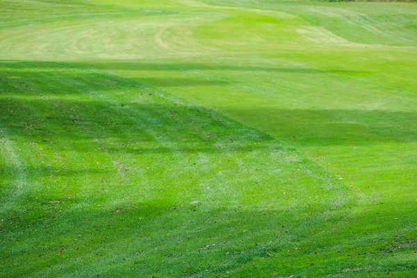 Textura de grama verde do campo de golfe para fundo. — Fotografia de Stock