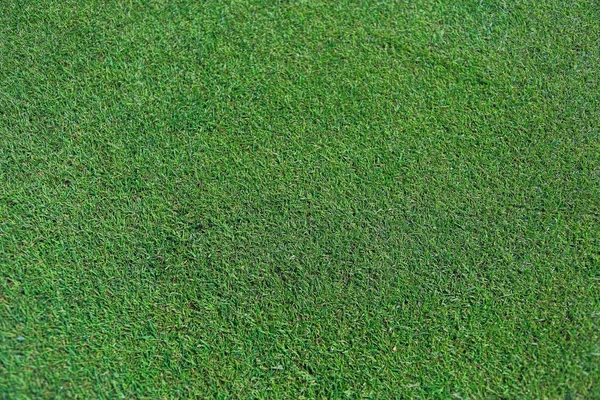 배경을 위한 골프 코스의 녹색 잔디 질감. — 스톡 사진
