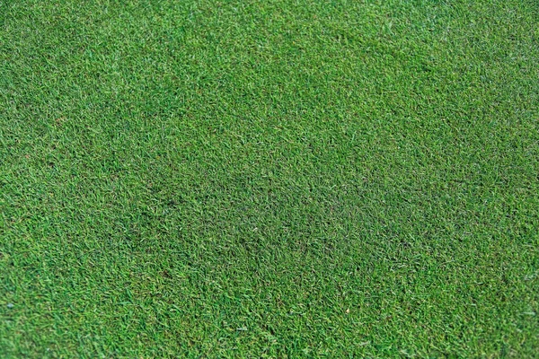 Erba verde texture del campo da golf per sfondo. — Foto Stock