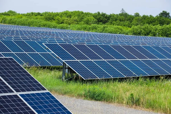 Ağaçların arka planında düzgün güneş panelleri