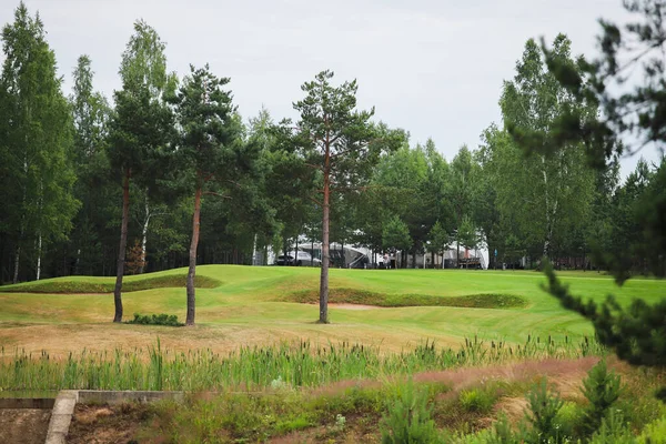 Jezero obklopeno zelení na území golfového klubu — Stock fotografie