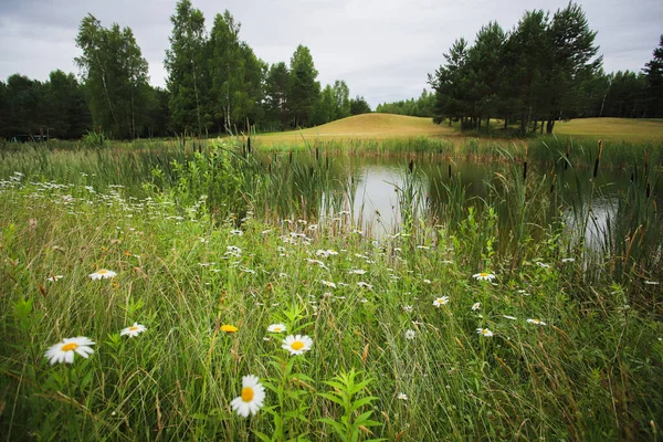 Jezioro otoczone zielenią na terenie klubu golfowego — Zdjęcie stockowe