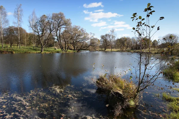 Panorama do lago, com floresta e céu azul — Fotografia de Stock