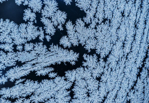 Frost am Fenster, starker Frost — Stockfoto