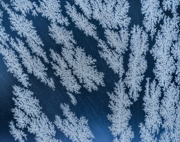 Escarcha en la ventana, una fuerte helada — Foto de Stock