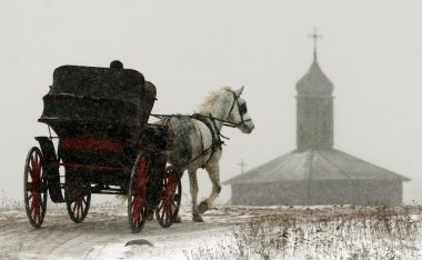 At arabası.