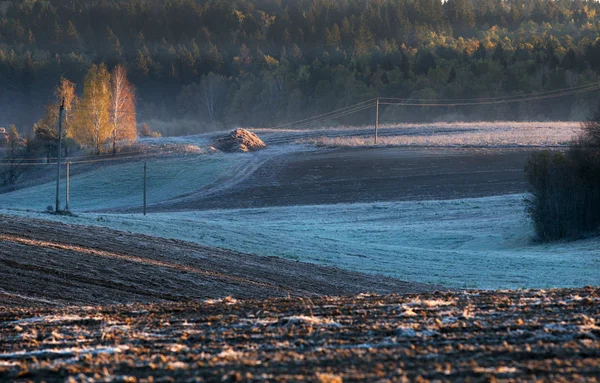 Eriyen kar sürülmüş sahada — Stok fotoğraf