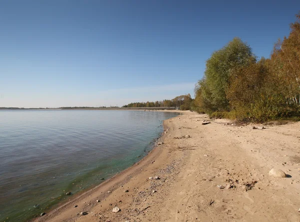 fodrest ve mavi gökyüzü ile Gölü Panoraması