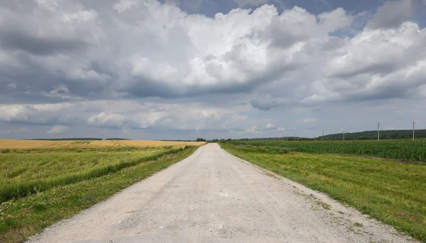 Empty countryside road through fields with wheat, sky — Stock Photo, Image