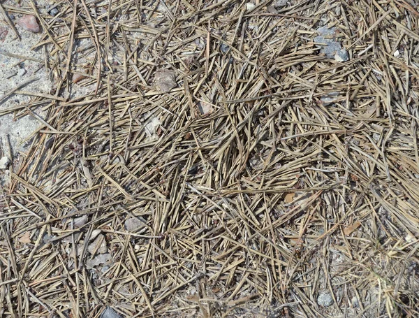 A talaj textúra, barna föld talaj keverve a kis köveket — Stock Fotó