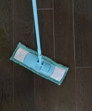 Mavi paspas ile döşeli Zemin Temizleme