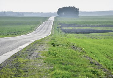 boş kırsal yolu ile buğday, gökyüzü ile alanlar