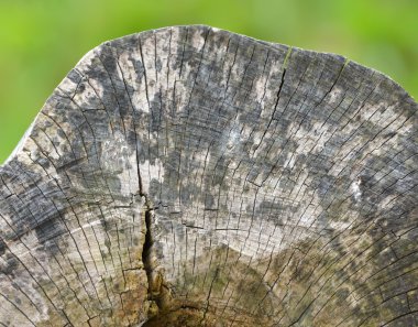 Eski ahşap rustik arka plan, boyalı peeling boya