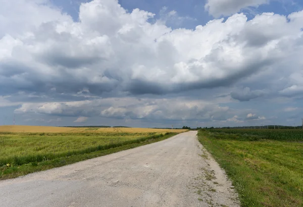 Empty countryside road through fields with wheat, sky — Stock Photo, Image