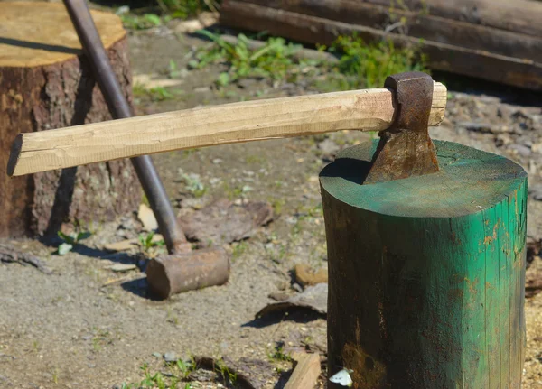 Ax in de stomp — Stockfoto