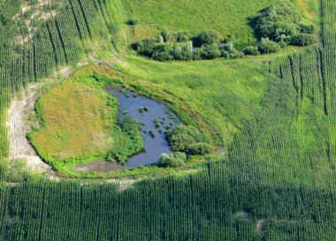 Yaz aylarında büyük Nehri sel karada havadan görünümü.