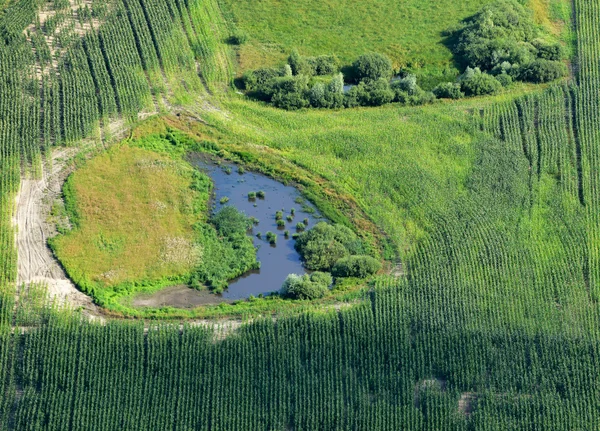 Vista aérea sobre a terra de inundação o grande rio durante o verão . — Fotografia de Stock