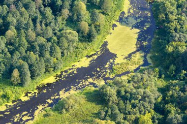 Yaz aylarında büyük Nehri sel karada havadan görünümü.