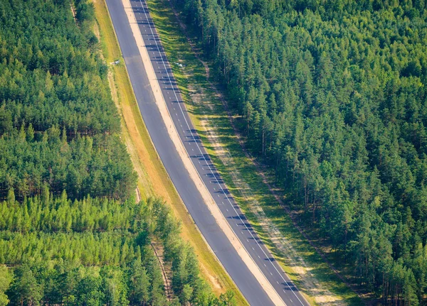 俄罗斯森林中的道路 — 图库照片