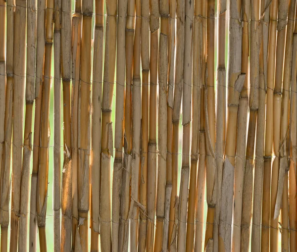 Bambusz kerítés háttér — Stock Fotó