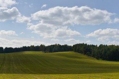 Buğday tarlası ve bulutlu yaz manzarası
