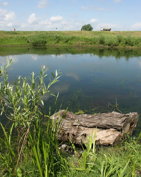 Lac avec des morceaux de bois mort — Photo