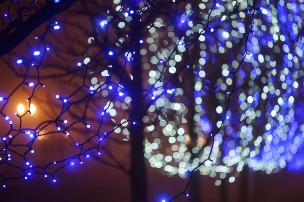 Luminous garlands on  trees in the streets — Stock Photo, Image