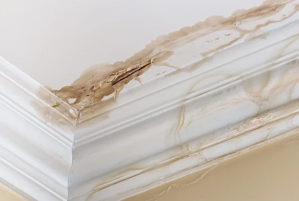 Ceiling Water damage — Stock Photo, Image