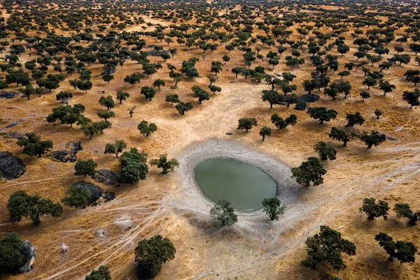 Paisaje Con Laguna Dehesa Luz Extremadura España — Foto de Stock