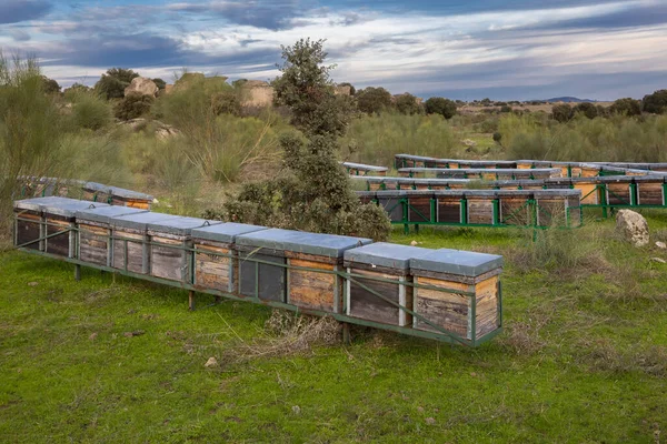 Lanskap Dengan Sarang Lebah Barruecos Extremadura Spanyol — Stok Foto