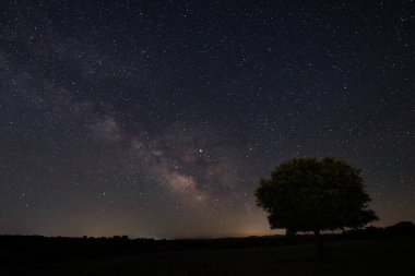 Samanyolu ile birlikte Malpartida de Caceres yakınlarında gece manzarası. Extremadura. İspanya.