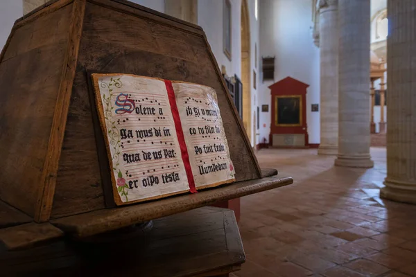 Antequera Espanha Março 2016 Igreja Real Colegiada Santa Maria Mayor — Fotografia de Stock