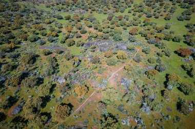 Dehesa de la Luz 'daki manzara. Extremadura. İspanya.