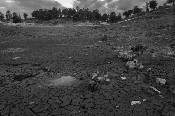 Paisaje Zona Granadilla Extremadura España — Foto de Stock