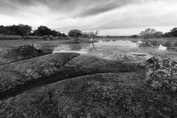 Dehesa Luz Arroyo Luz Yakınlarındaki Manzara Extremadura Spanya — Stok fotoğraf