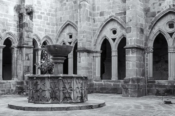 Fuente tr la Catedral de Plasencia — Stok fotoğraf