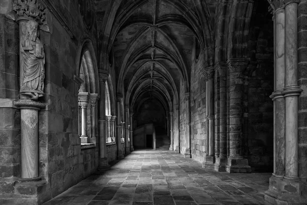Klasztor katedra Evora — Zdjęcie stockowe