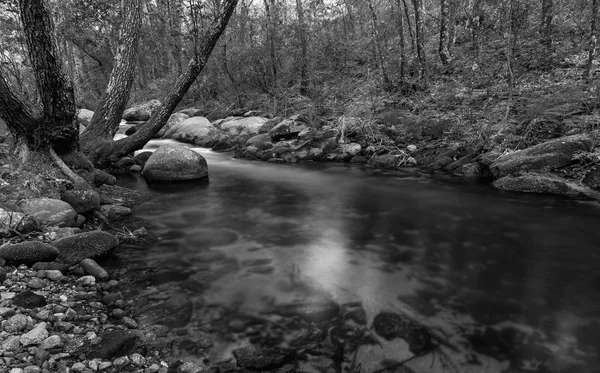 Garganta de Pedro Chate — Photo