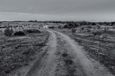 Camino tr el campo